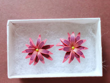 Load image into Gallery viewer, Pink and purple aster flower shaped stud earrings in a white paper jewelry box
