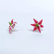 Load image into Gallery viewer, Stargazer Lily Oriental Lily Metal Free Stud Earrings
